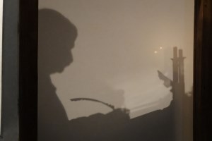 Садиба-музей Гоголів, Гоголеве